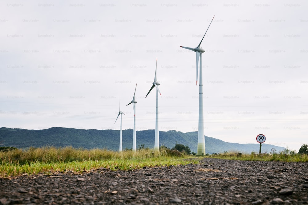 a bunch of windmills that are standing in the grass