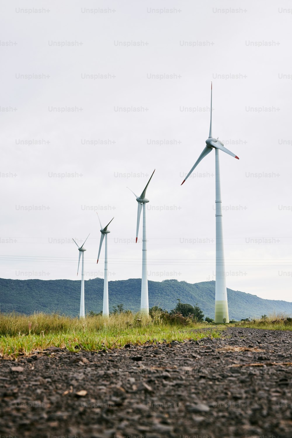 Un gruppo di turbine eoliche in un campo