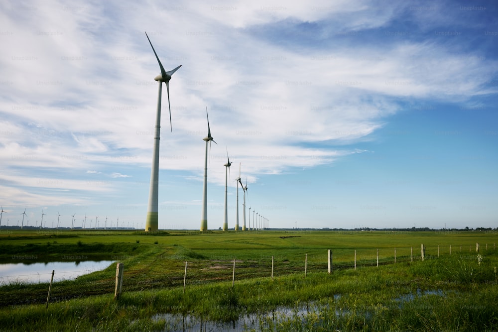 a row of wind turbines in a green field