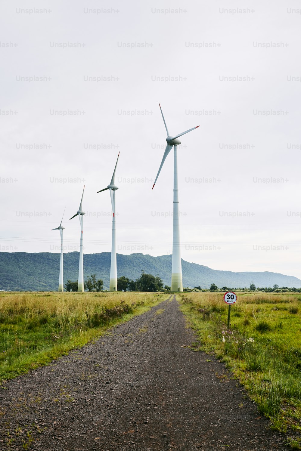 a dirt road leading to a row of wind turbines
