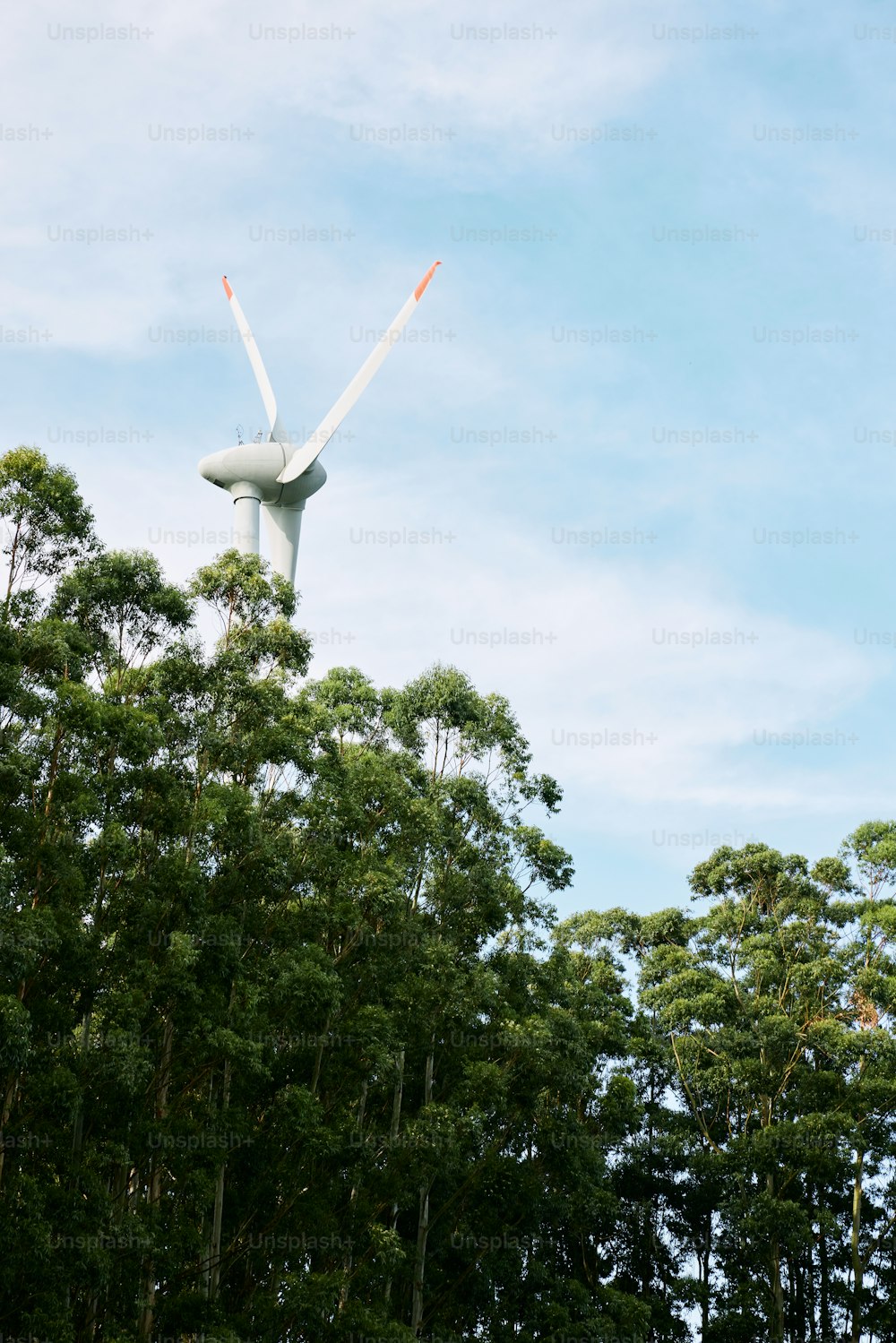 Eine Windkraftanlage auf einem hohen Baum