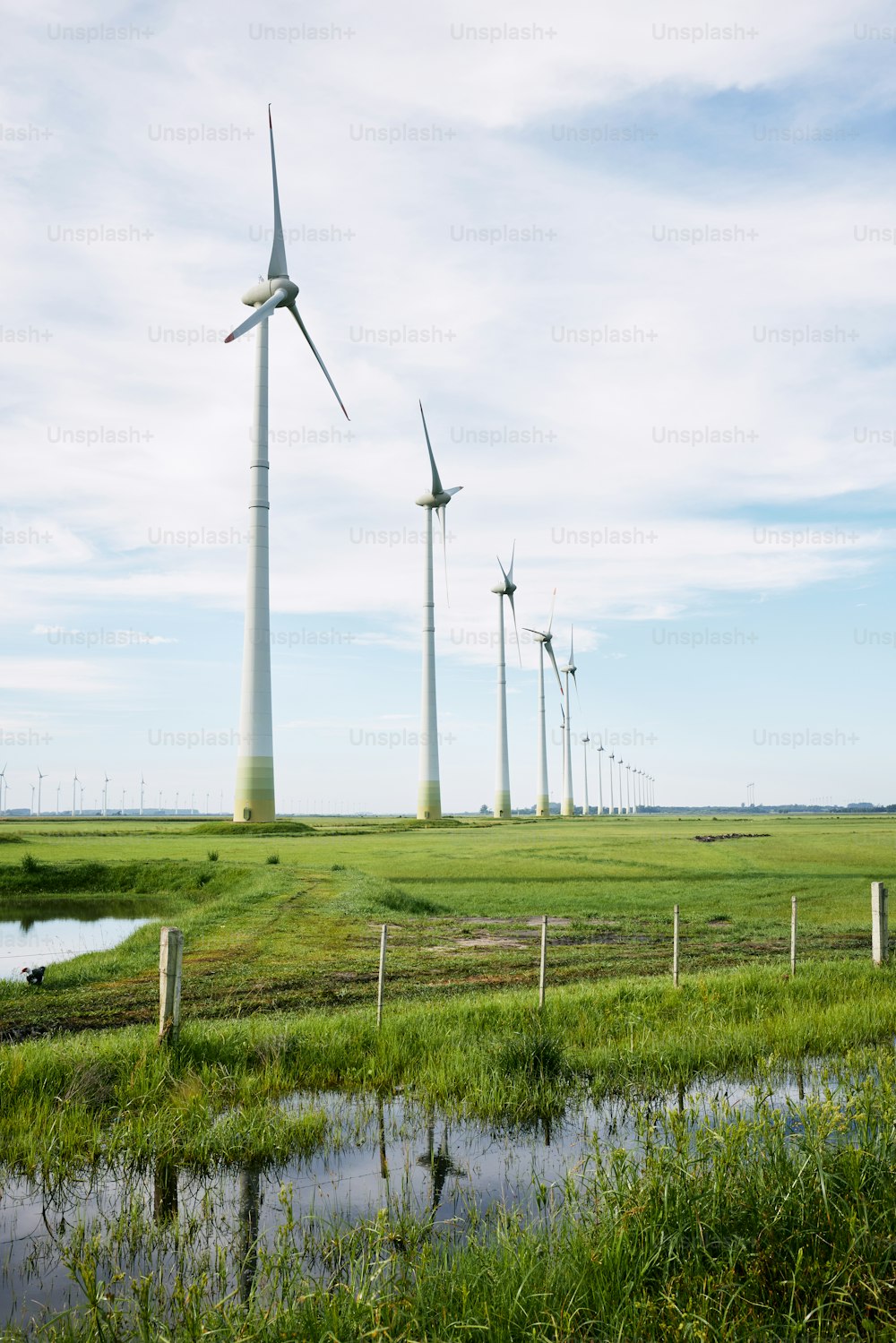 Una fila di turbine eoliche in un campo verde