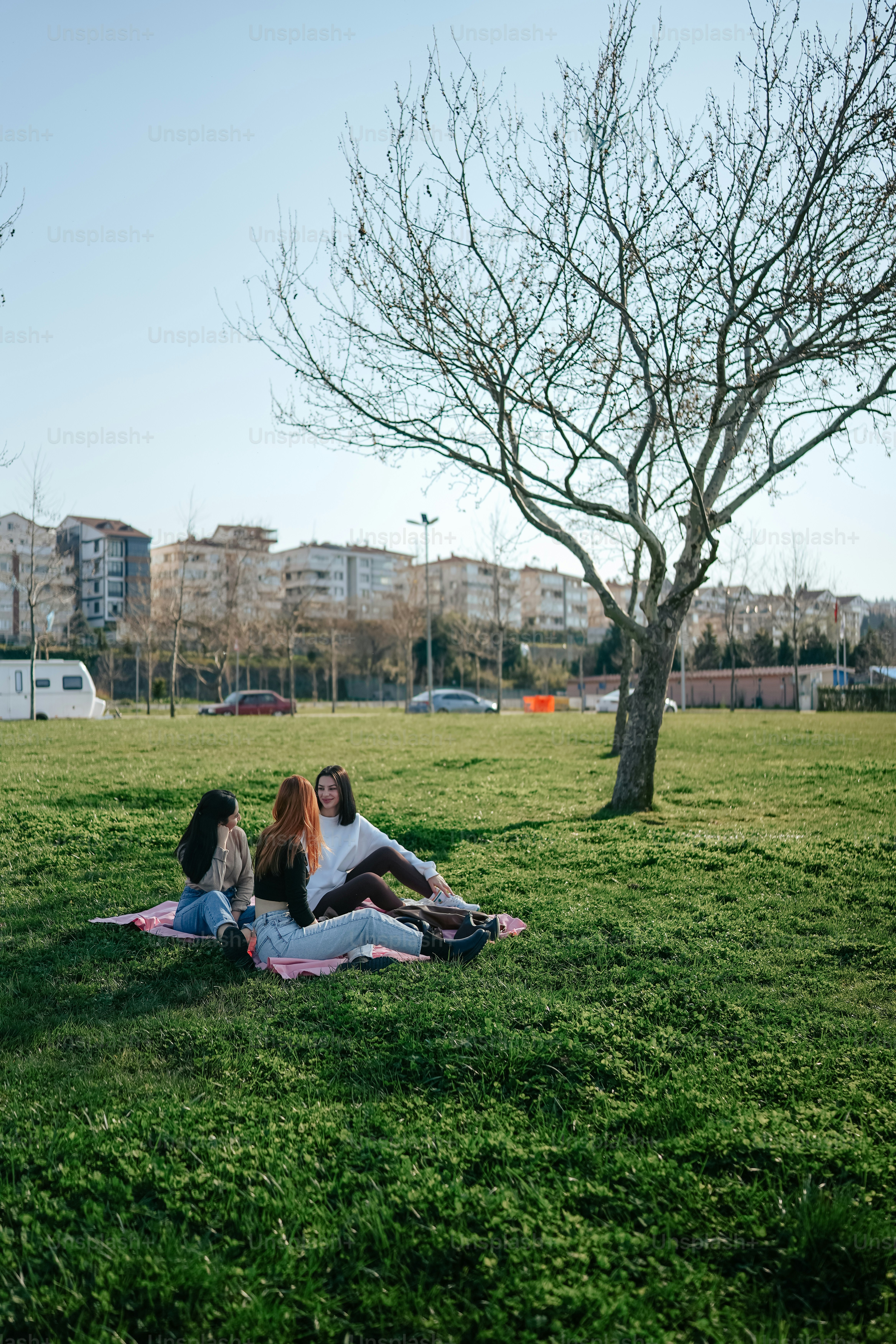 a group of people sitting on top of a lush green field
