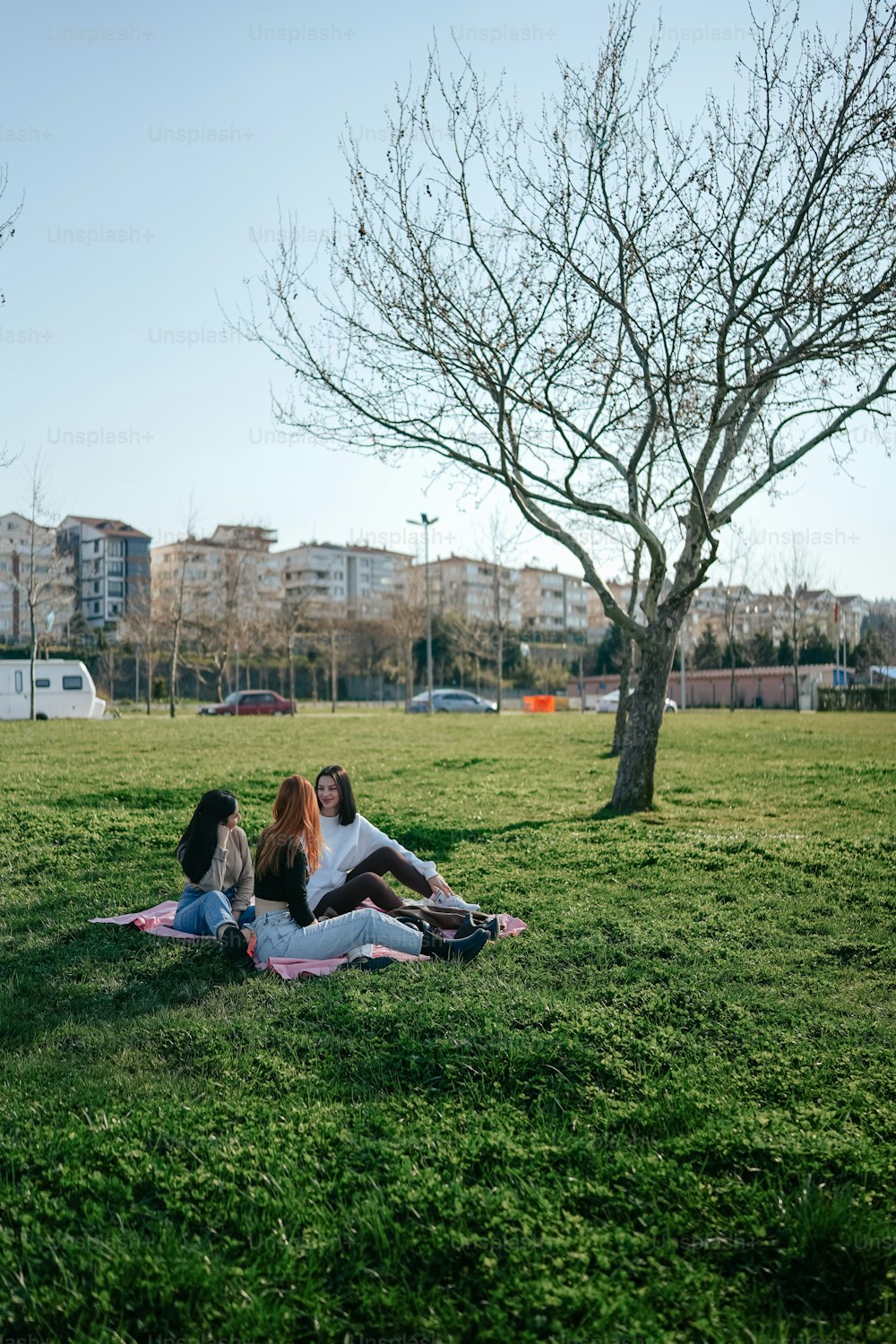 a group of people sitting on top of a lush green field