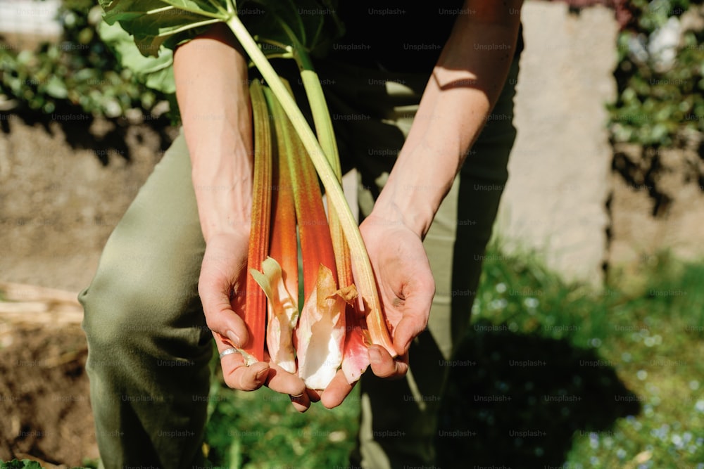 una persona sosteniendo un manojo de cebollas en sus manos