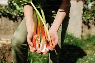 una persona sosteniendo un manojo de cebollas en sus manos