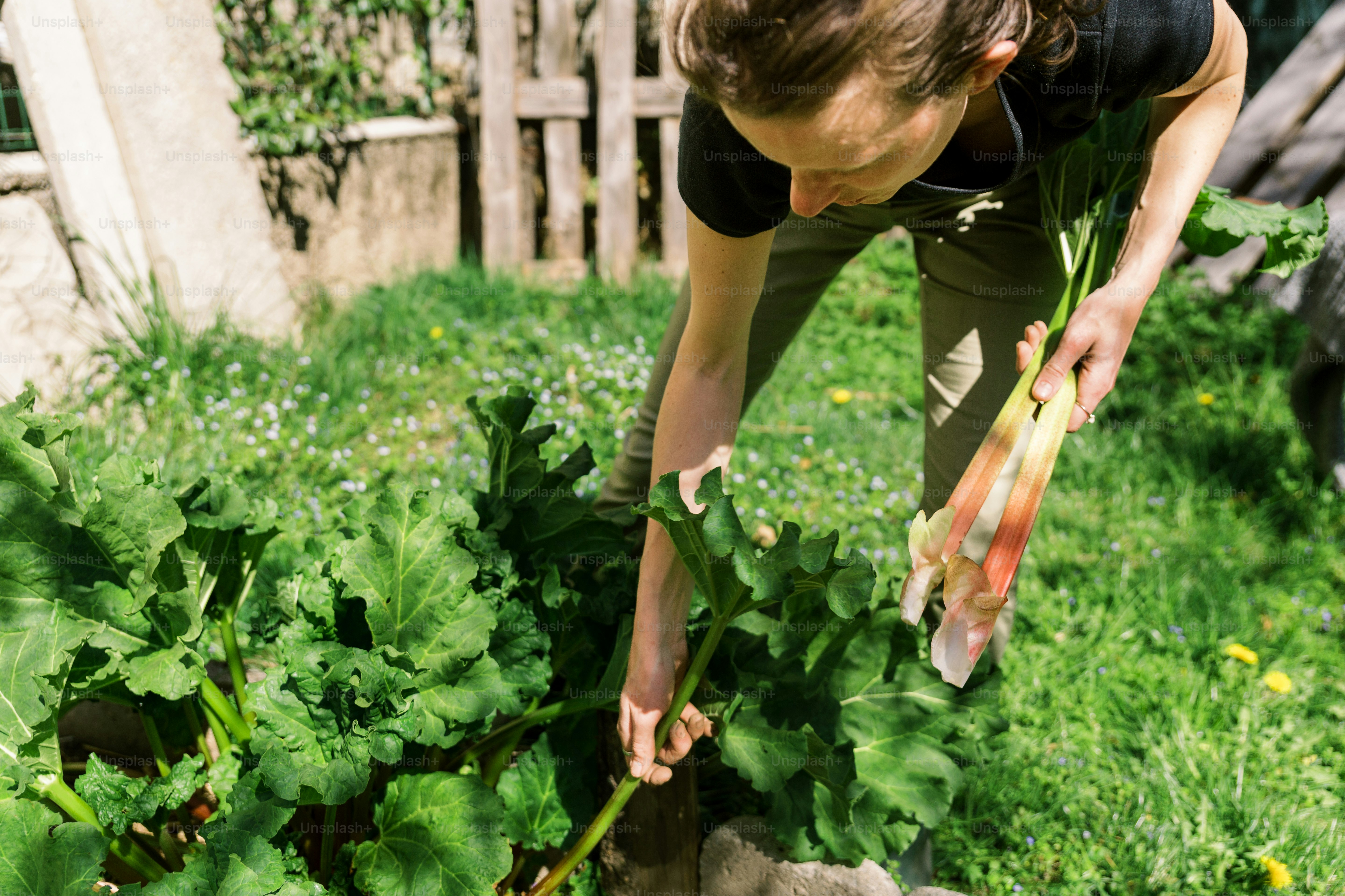 a woman in a black shirt and some plants