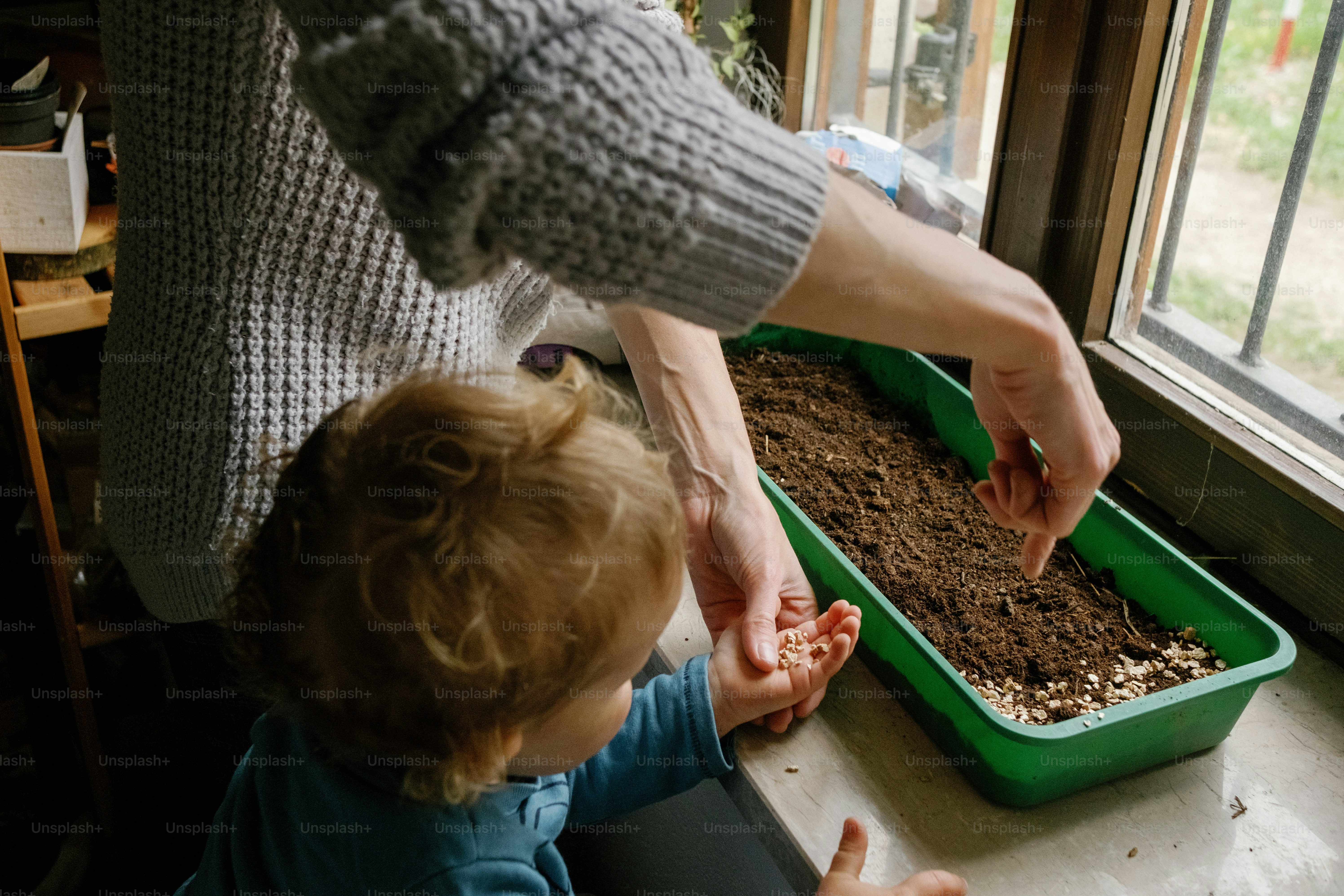 Eine Frau hilft einem Kind, eine Pflanze zu pflanzen