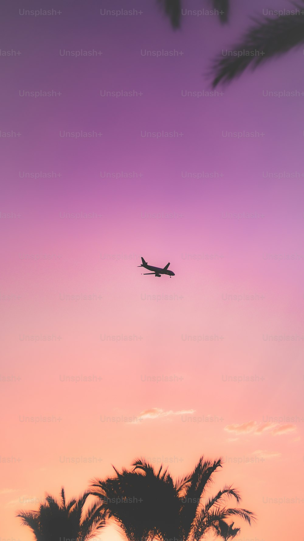 a plane flying in the sky over palm trees