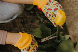 une personne coupant une fleur avec une paire de ciseaux