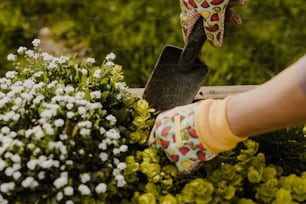 une personne avec des gants de jardinage et une pelle creusant dans des fleurs