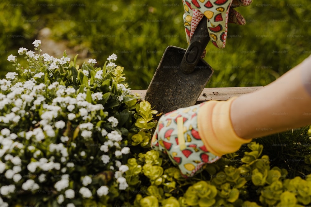 una persona con guanti da giardinaggio e una pala che scava in alcuni fiori