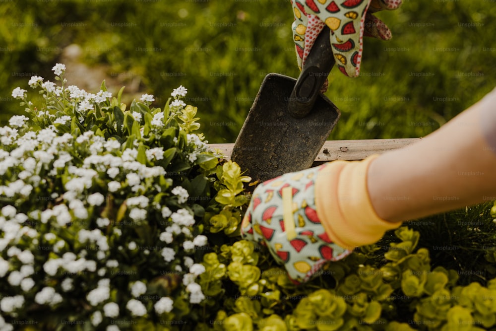 a person with gardening gloves and a shovel digging in some flowers