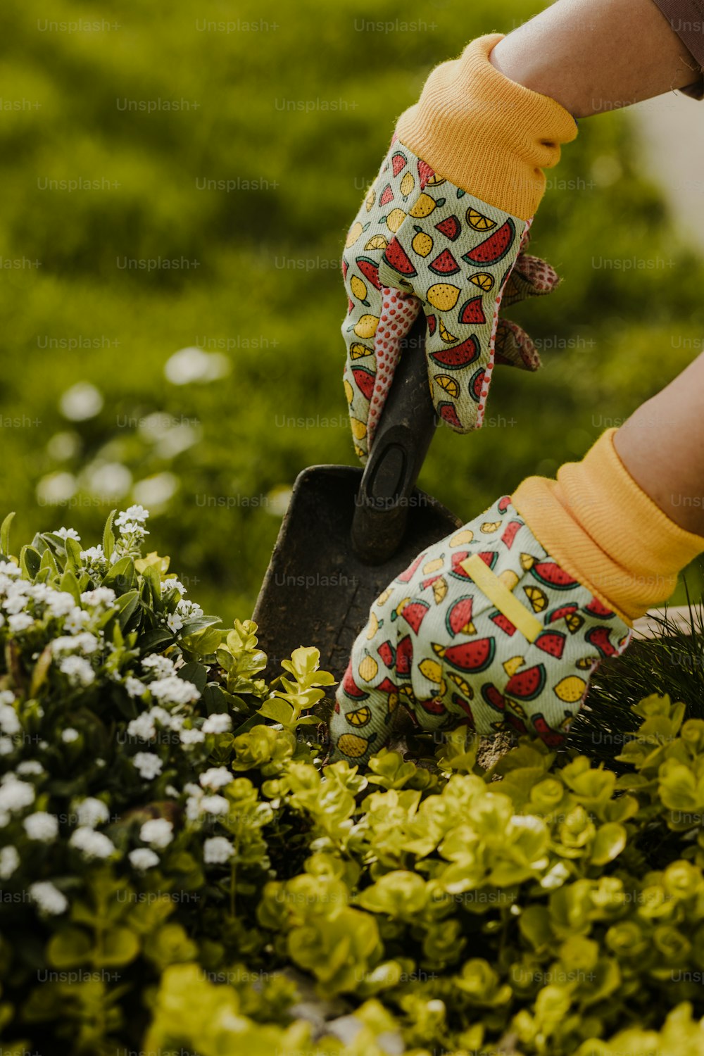 una persona in un giardino con i guanti da giardinaggio