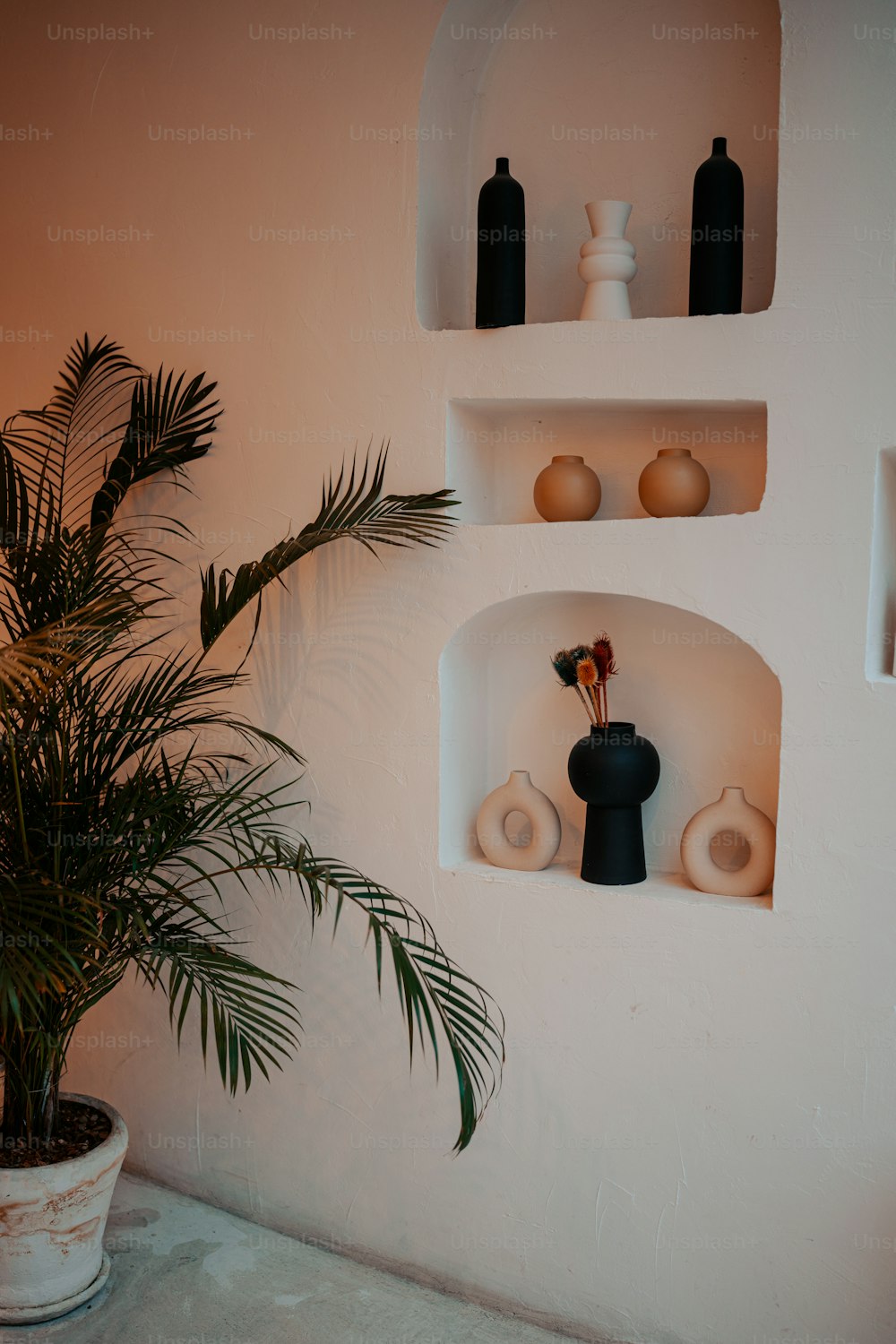 a potted plant sitting on top of a white shelf