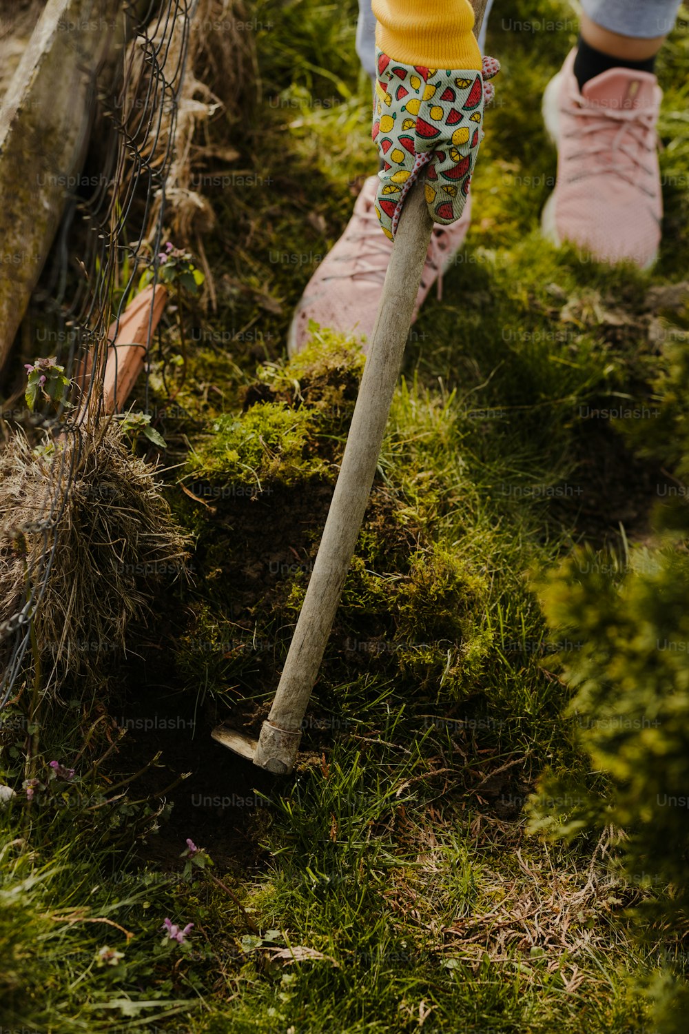 Eine Person gräbt mit einer Schaufel im Gras