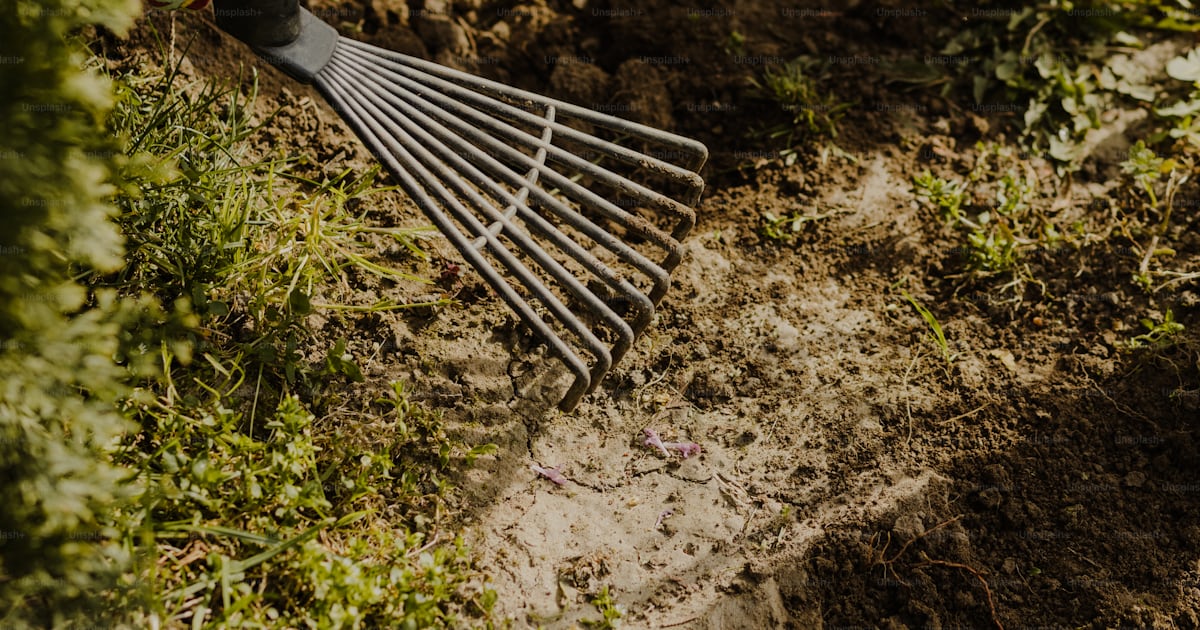 A person is digging in the dirt with a rake photo โ Rake Image on Unsplash