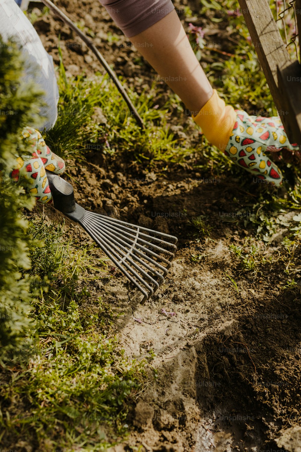 a person is digging in the dirt with a rake