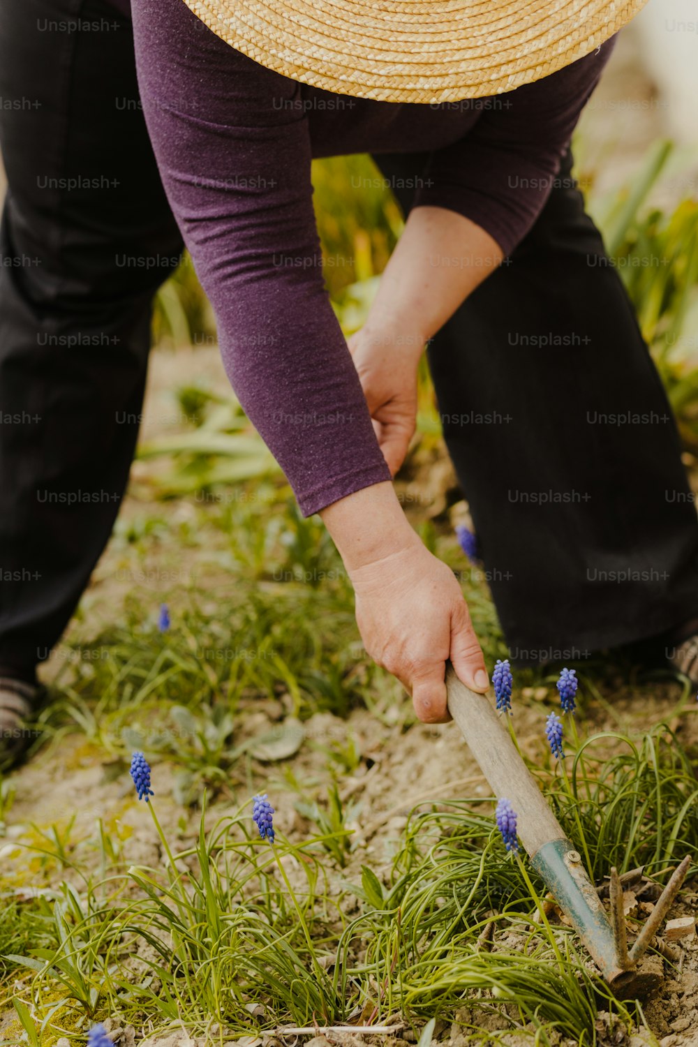 Una mujer con un sombrero de paja está cavando en la hierba