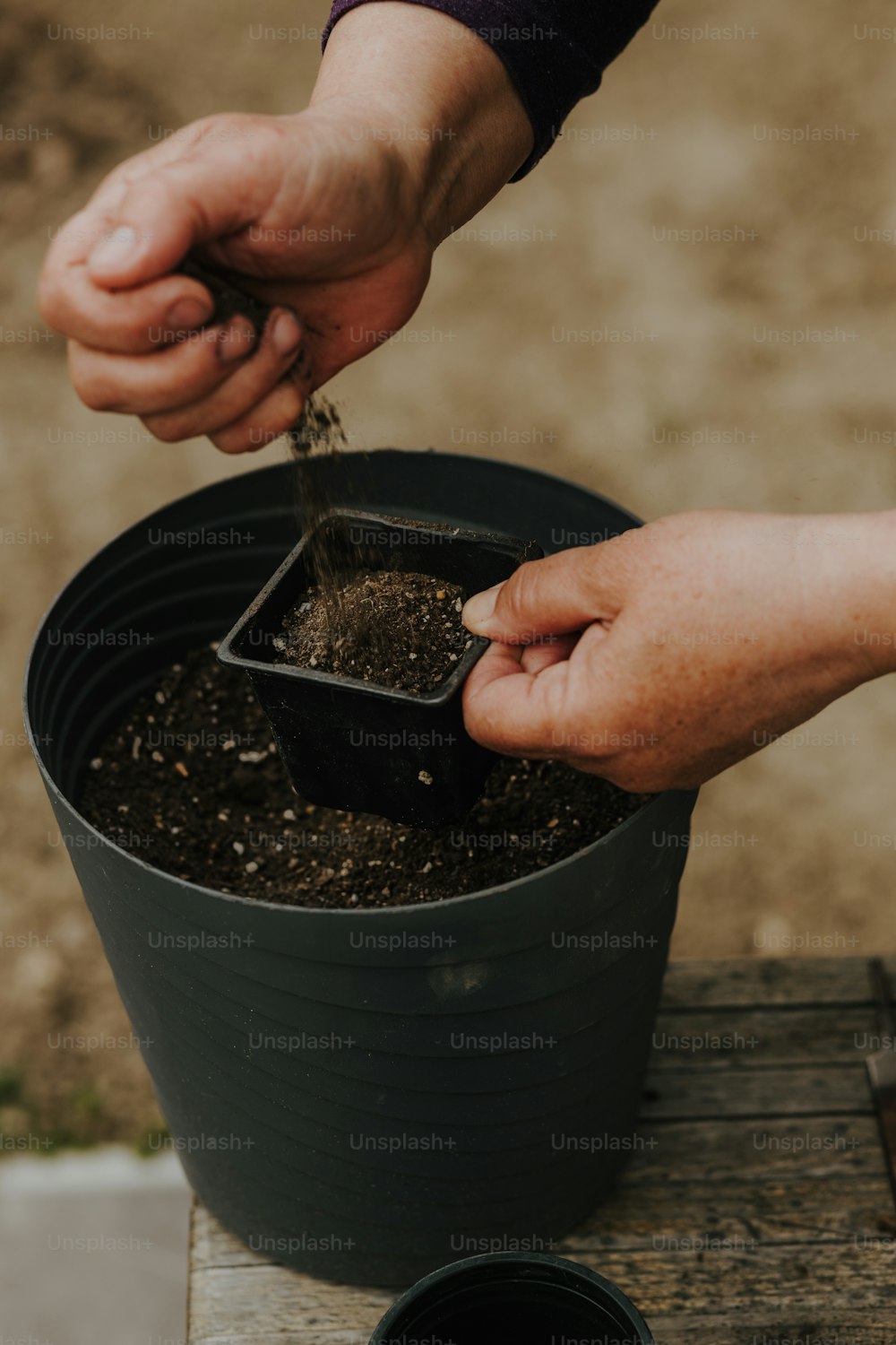 a person scooping dirt into a potted plant