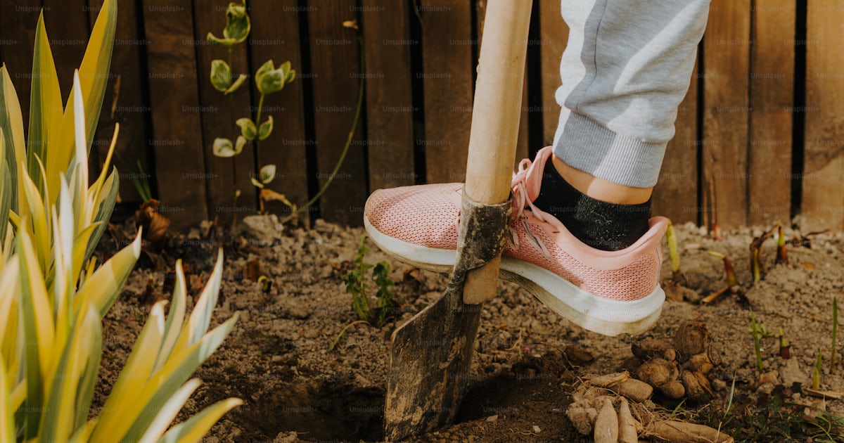 A person with a shovel digging in the dirt photo – Gardening Image on ...