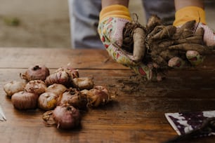 a person holding a bunch of garlic on top of a wooden table