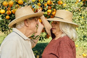 a man and a woman standing under an orange tree