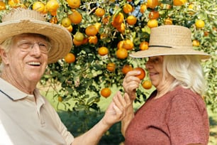 um homem e uma mulher em pé na frente de uma laranjeira