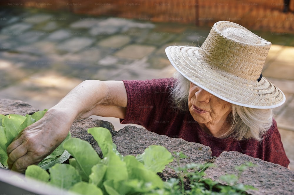 a woman wearing a straw hat leaning over a plant