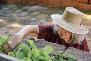 a woman wearing a straw hat leaning over a plant