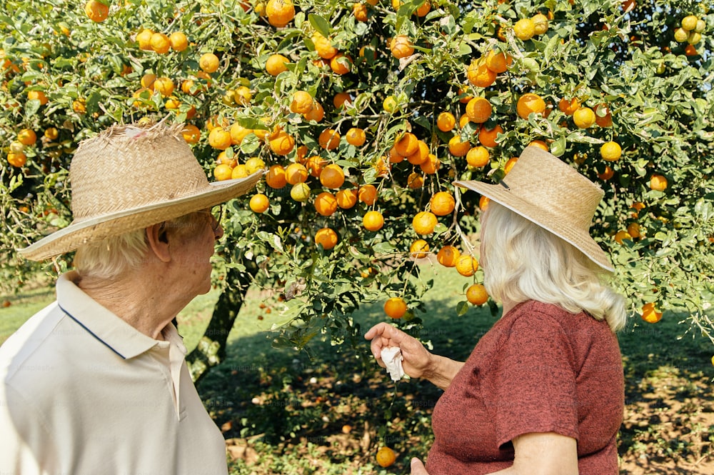 오렌지 나무 앞에 서 있는 남자와 여자