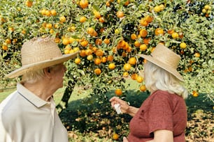 a man and a woman standing in front of an orange tree