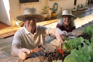 um homem e uma mulher estão jardinando juntos