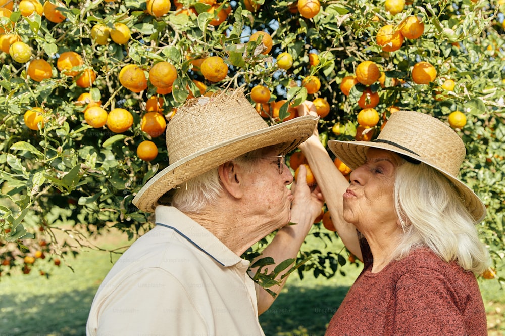 a man and woman standing under an orange tree