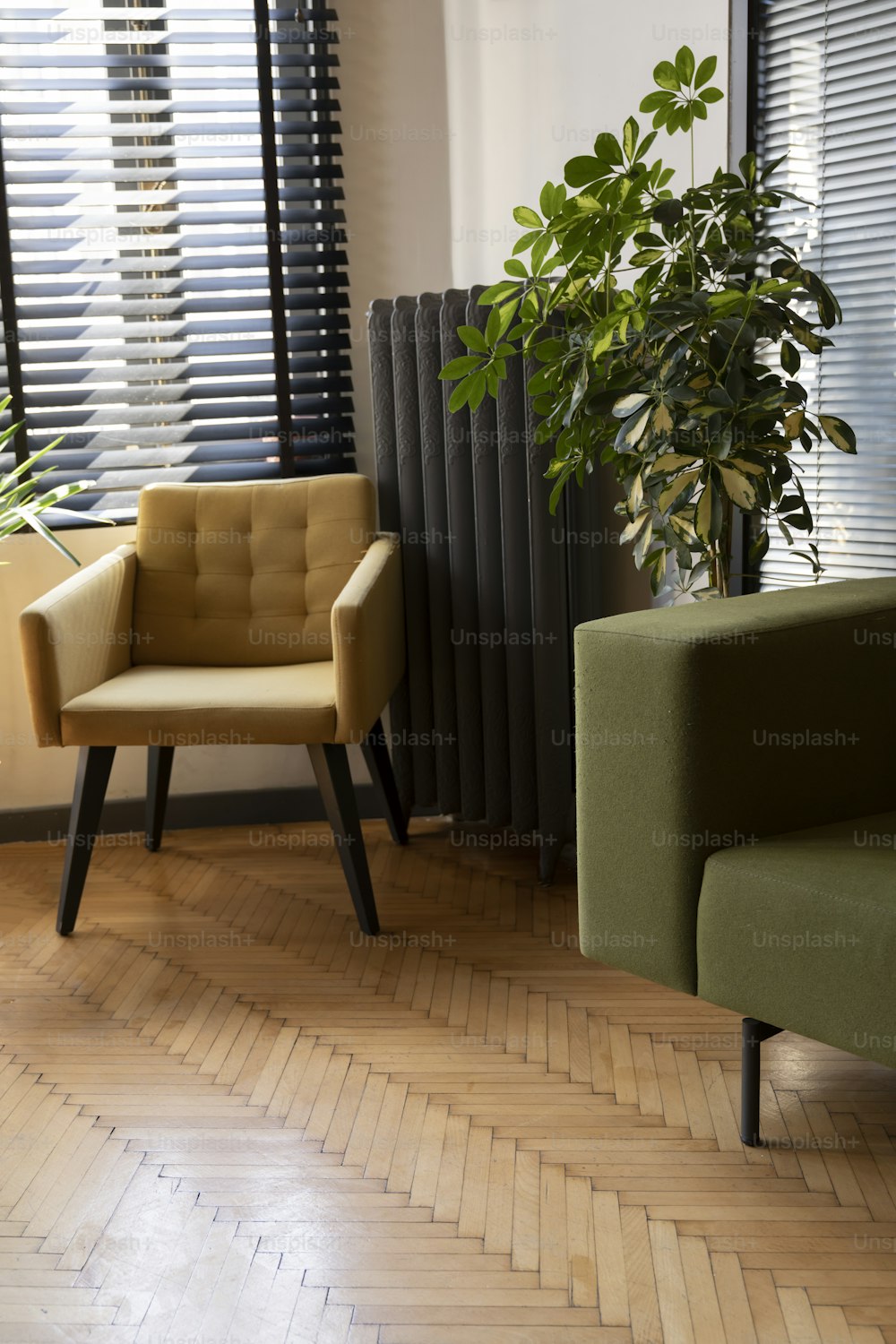 un salon avec deux chaises et une plante