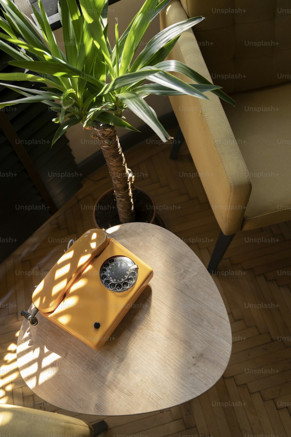 une table avec une plante et une horloge dessus