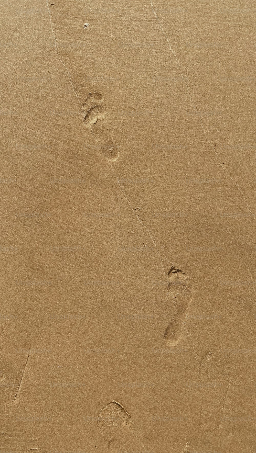 footprints in the sand of a beach near the ocean