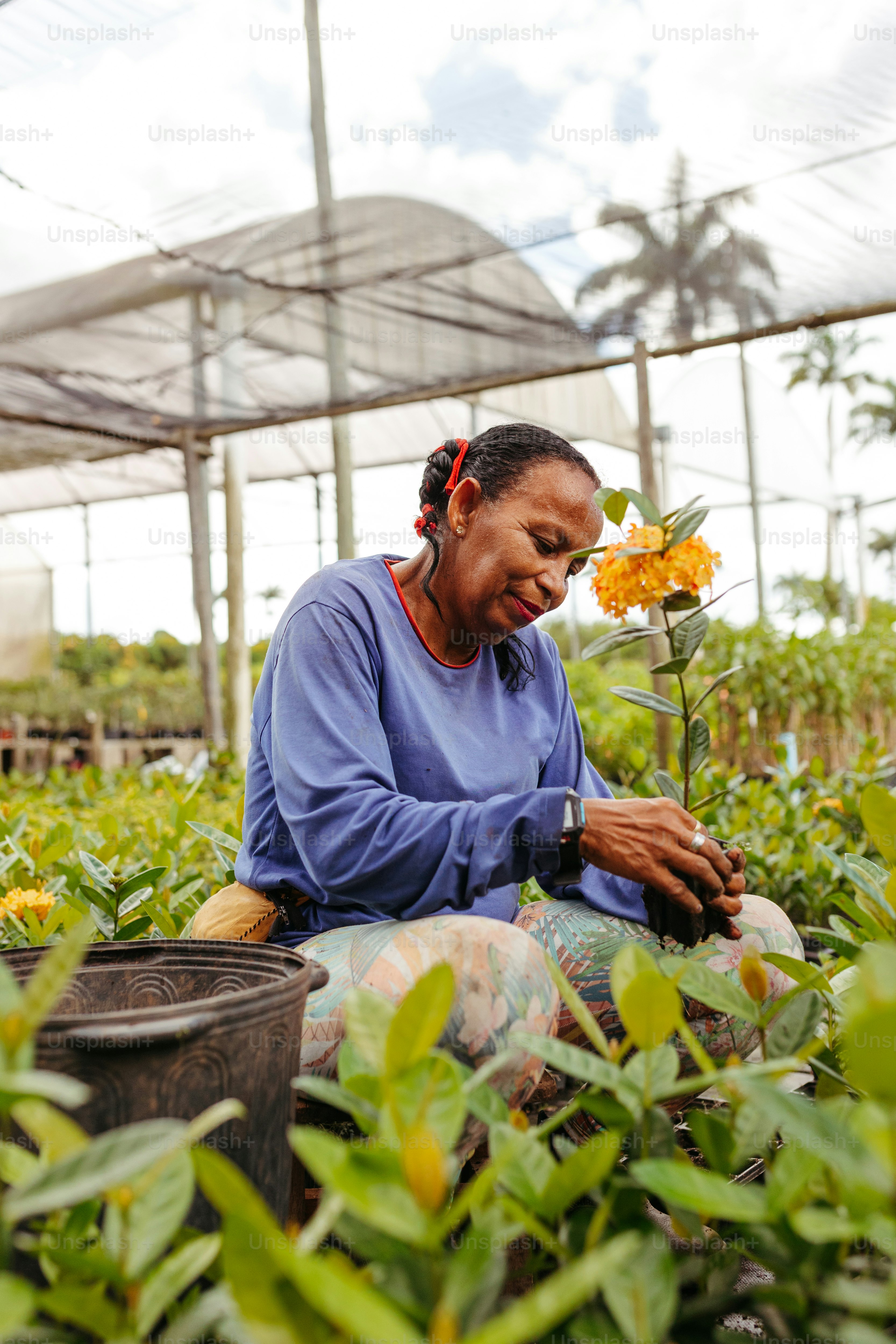 uma mulher sentada em uma estufa segurando uma flor