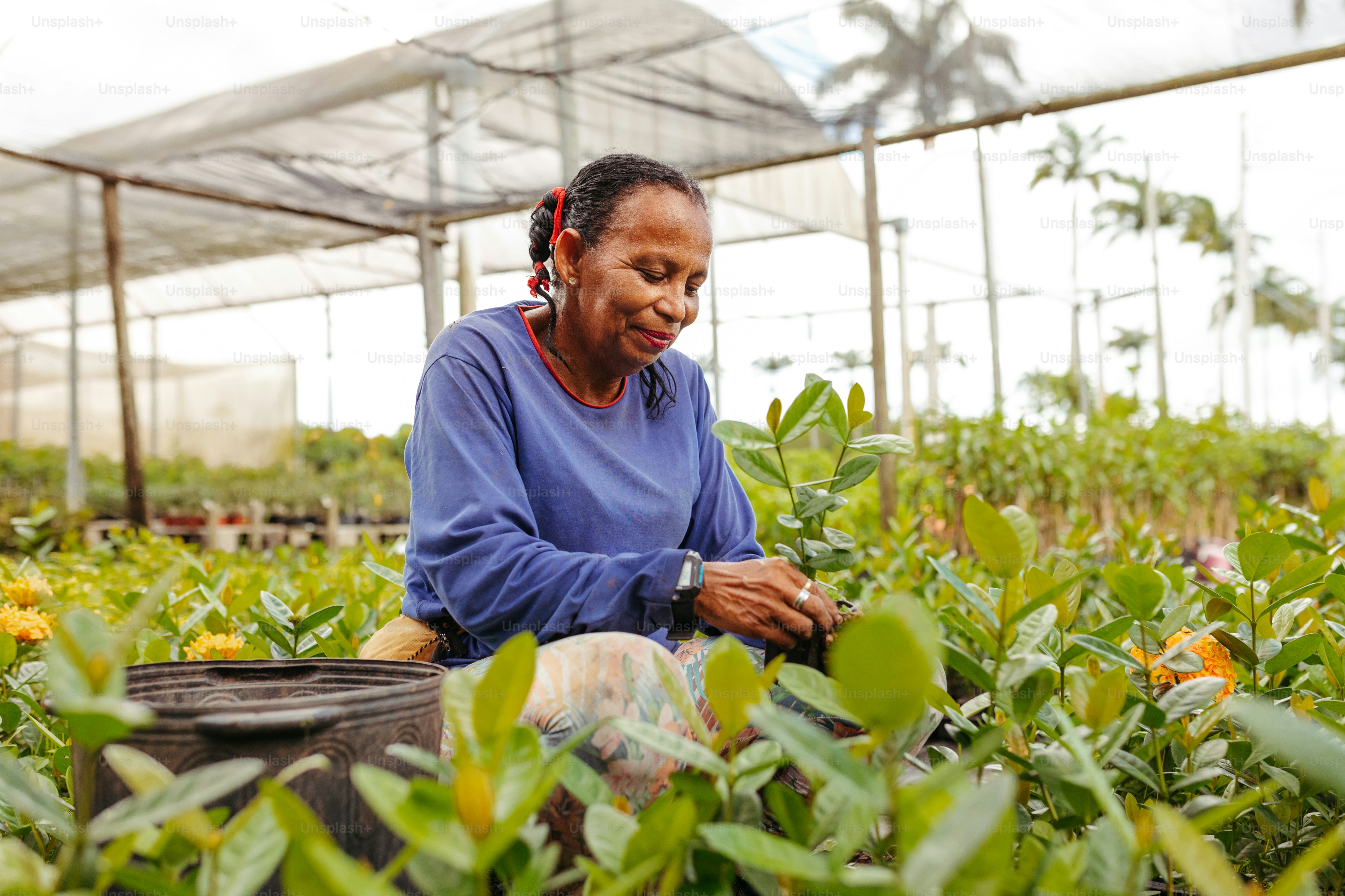 uma mulher em uma estufa olhando para as plantas