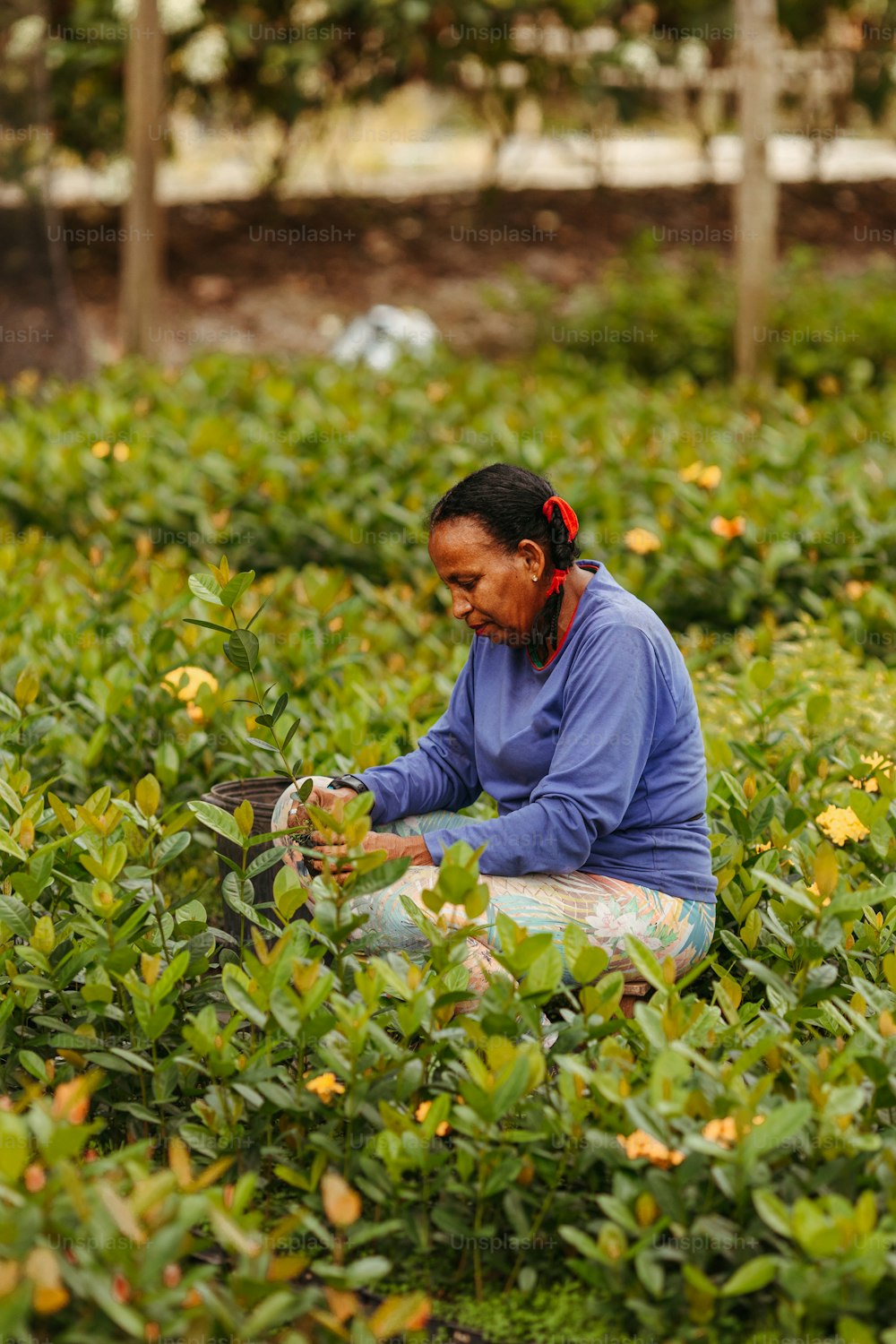 a woman sitting in a field of green plants