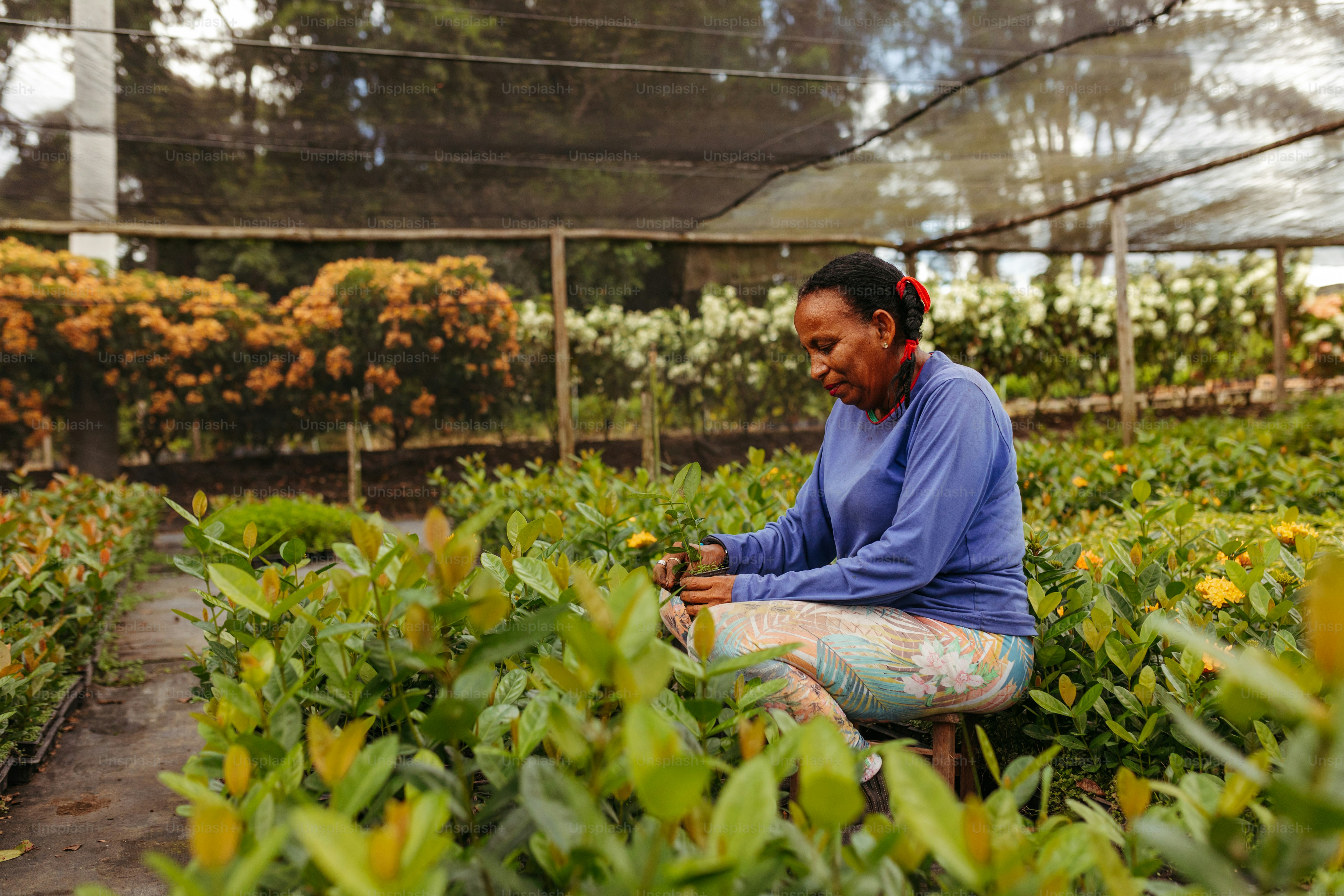 uma mulher em uma camisa azul está sentada em um jardim