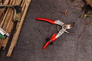 a pair of pliers laying on a piece of wood