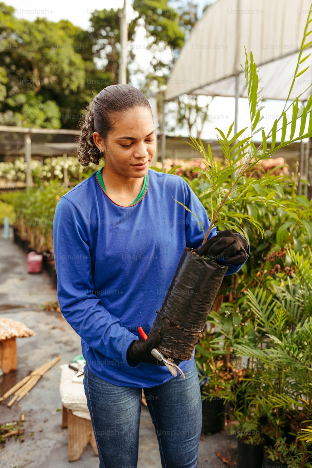 Una mujer sosteniendo una planta en un invernadero