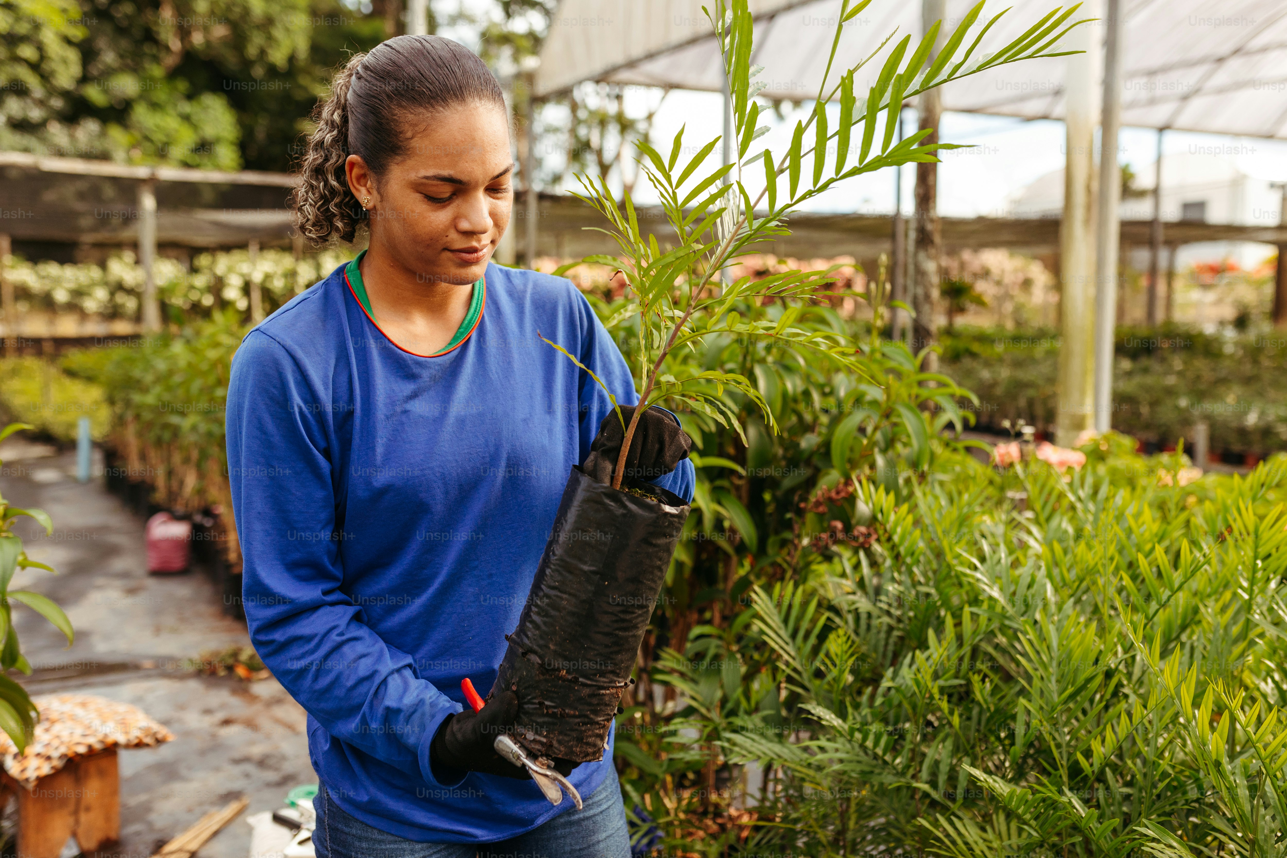 uma mulher que segura uma planta em uma estufa