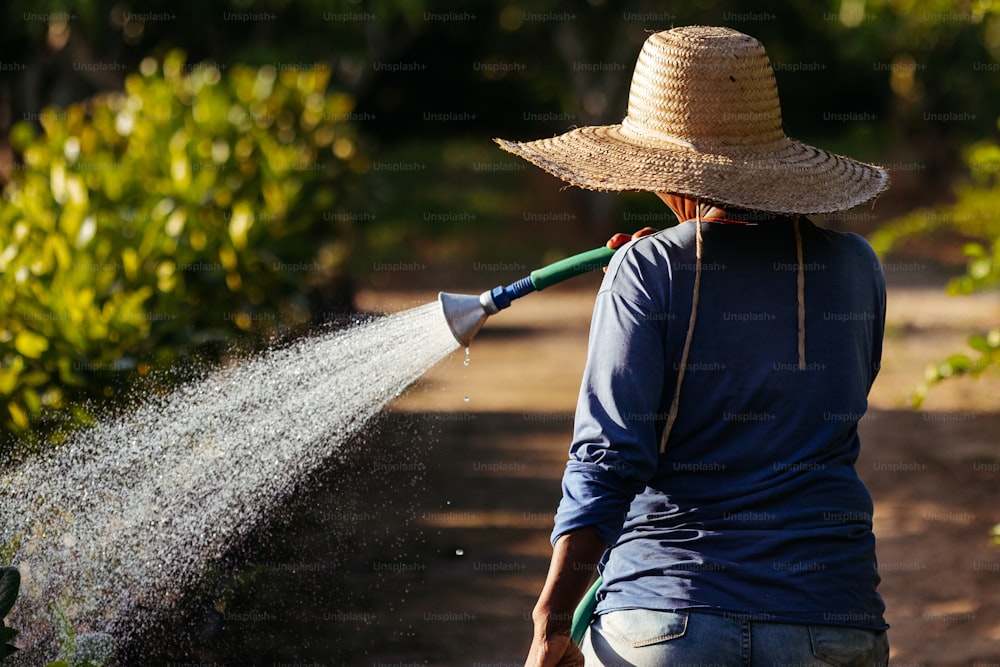a person wearing a straw hat is spraying water