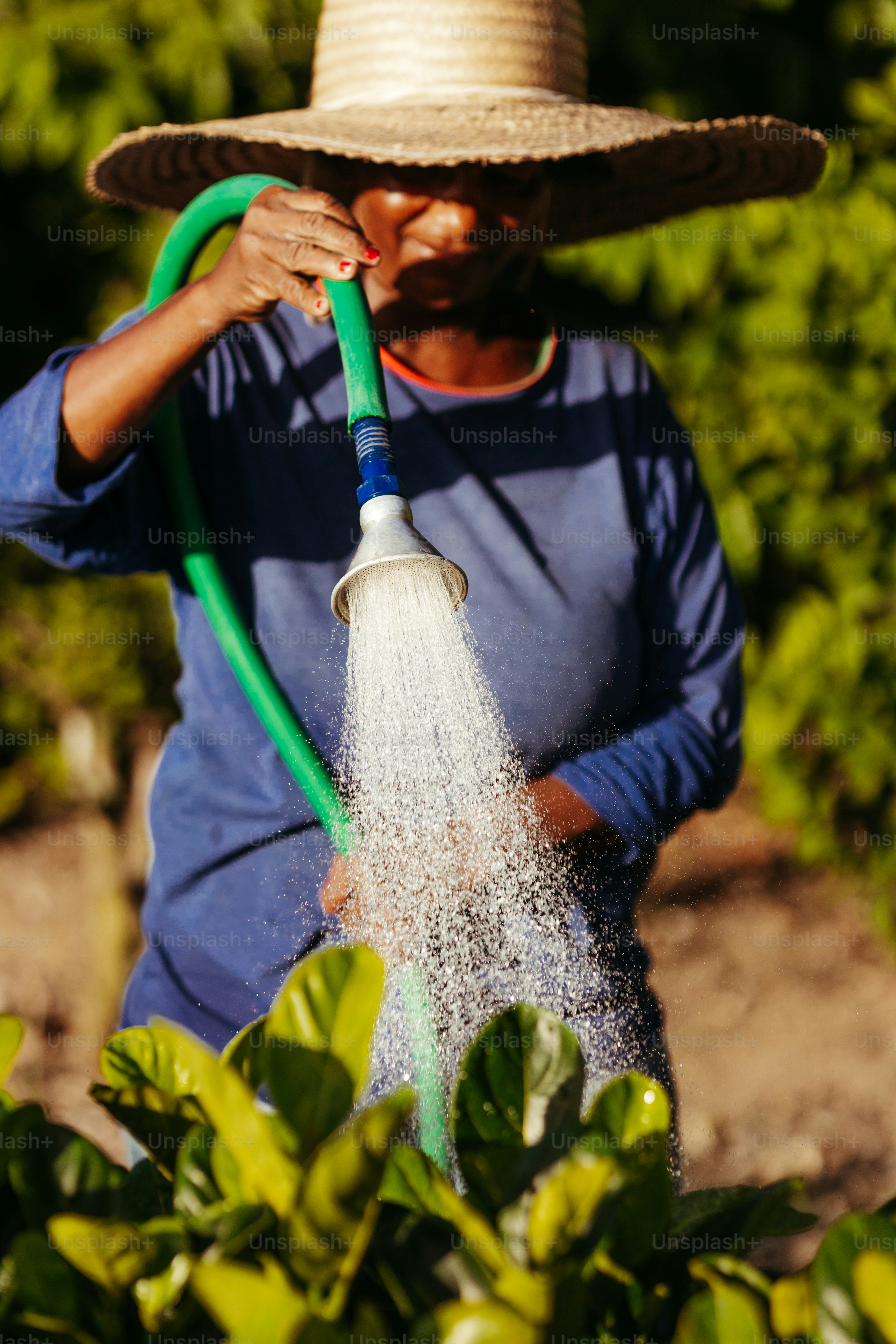 Farmer Field School training session