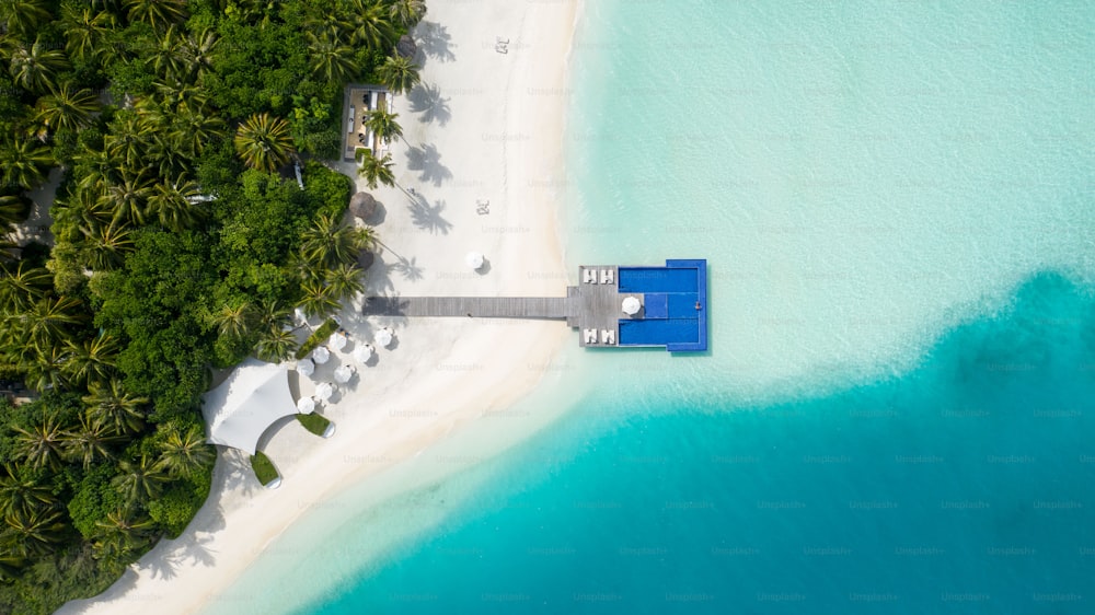 Eine Luftaufnahme eines Strandes mit einem Dock und Palmen