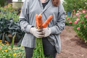 uma mulher segurando um monte de cenouras em suas mãos