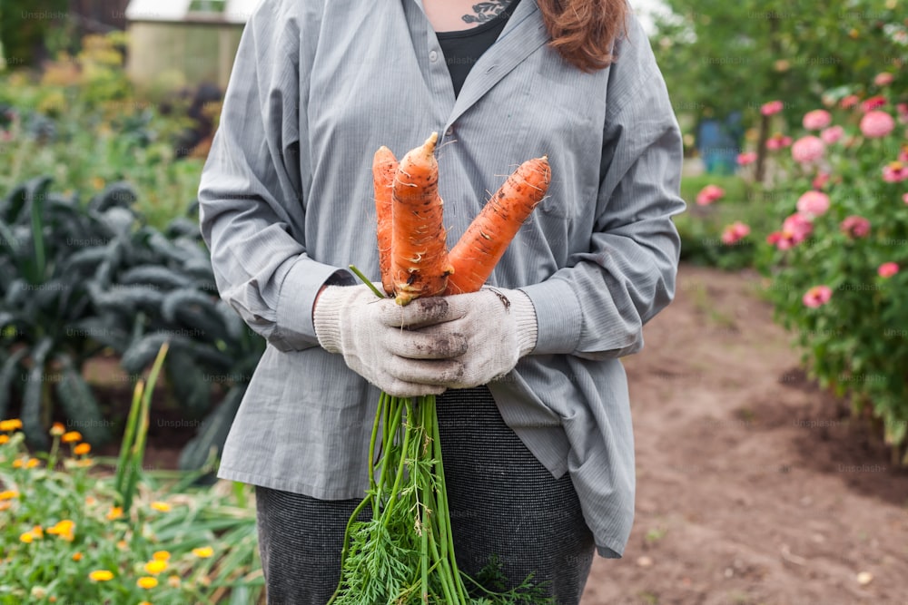 uma mulher segurando um monte de cenouras em suas mãos