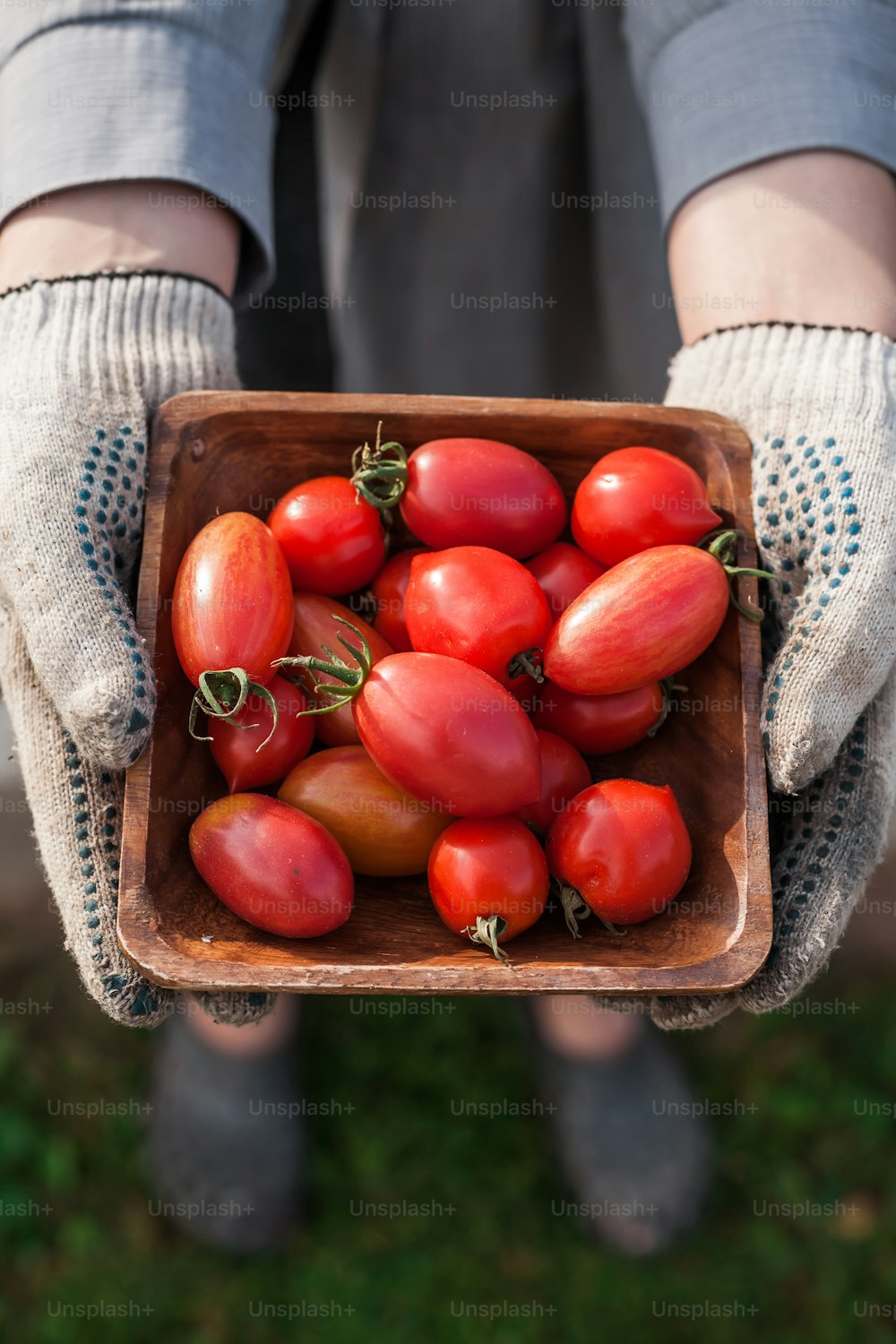 a person wearing gloves holding a wooden bowl of tomatoes